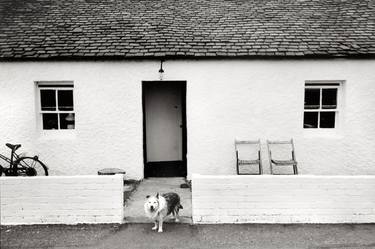 Saatchi Art Artist Peter Rodger; Photography, “Crofter’s Dog Scotland - Signed Limited Edition of 50” #art