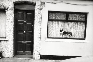 Saatchi Art Artist Peter Rodger; Photography, “Dog In Dublin - Signed Limited Edition of 50” #art