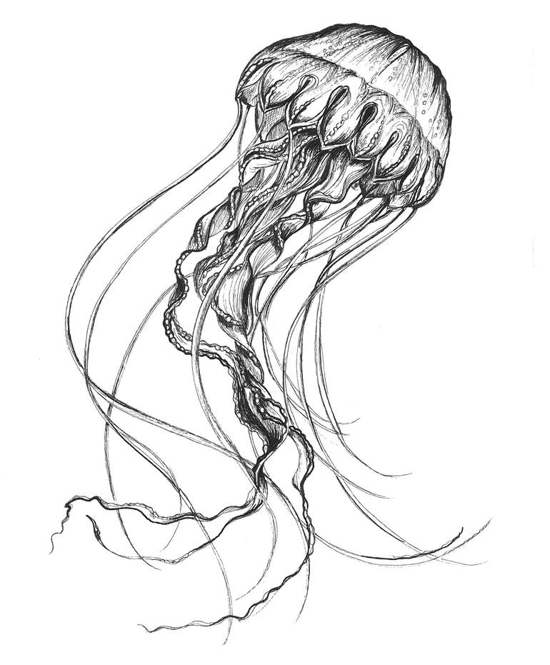 Simple Jellyfish Drawing