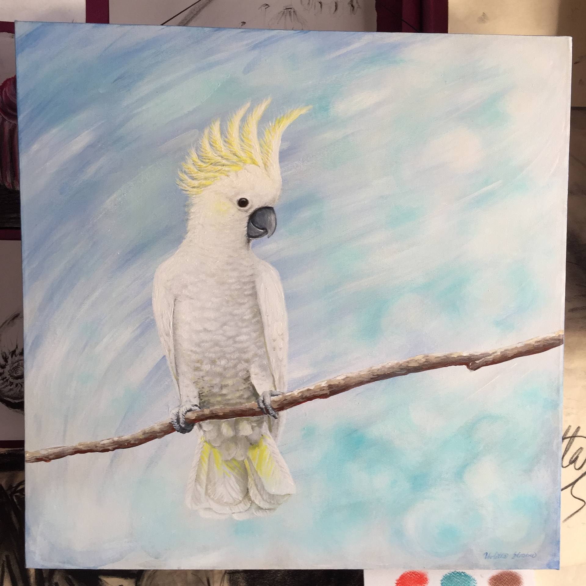 Cockatoo Painting By Violetta Strabic Saatchi Art