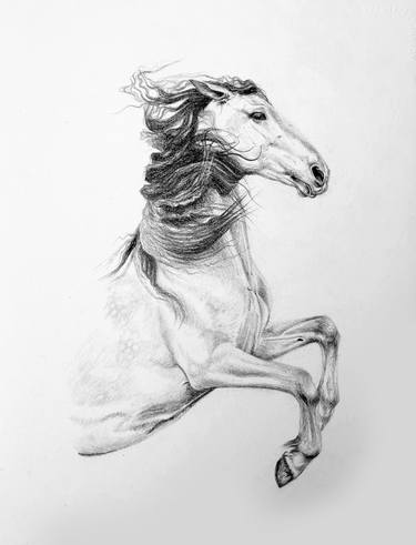 Original Horse Paper Drawings For Sale Saatchi Art