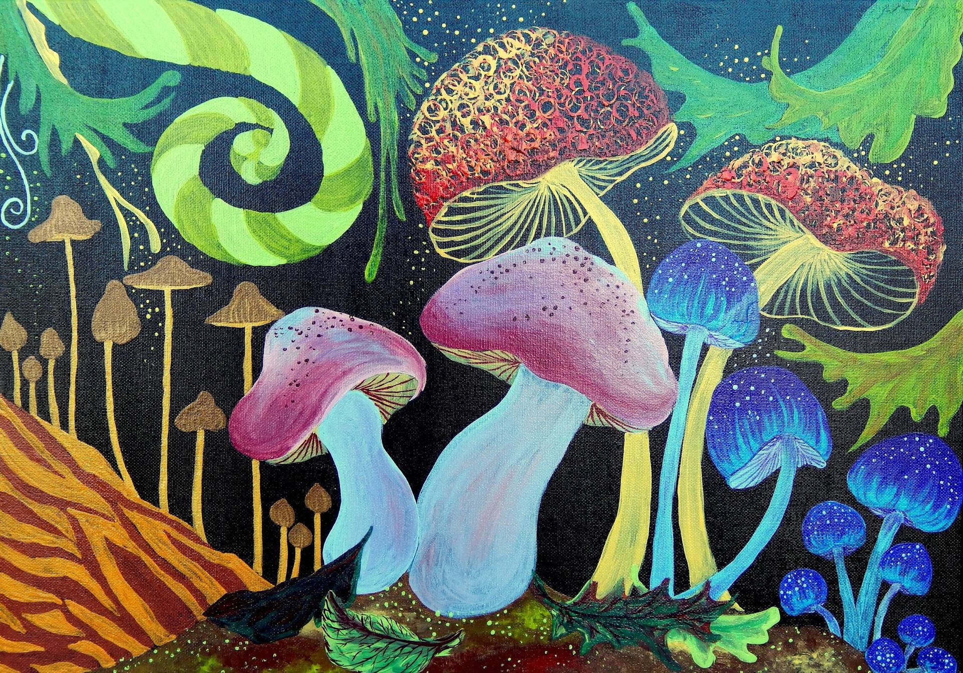 Разноцветный гриб арт